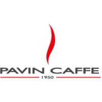 Pavin