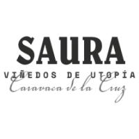 Bodegas Saura