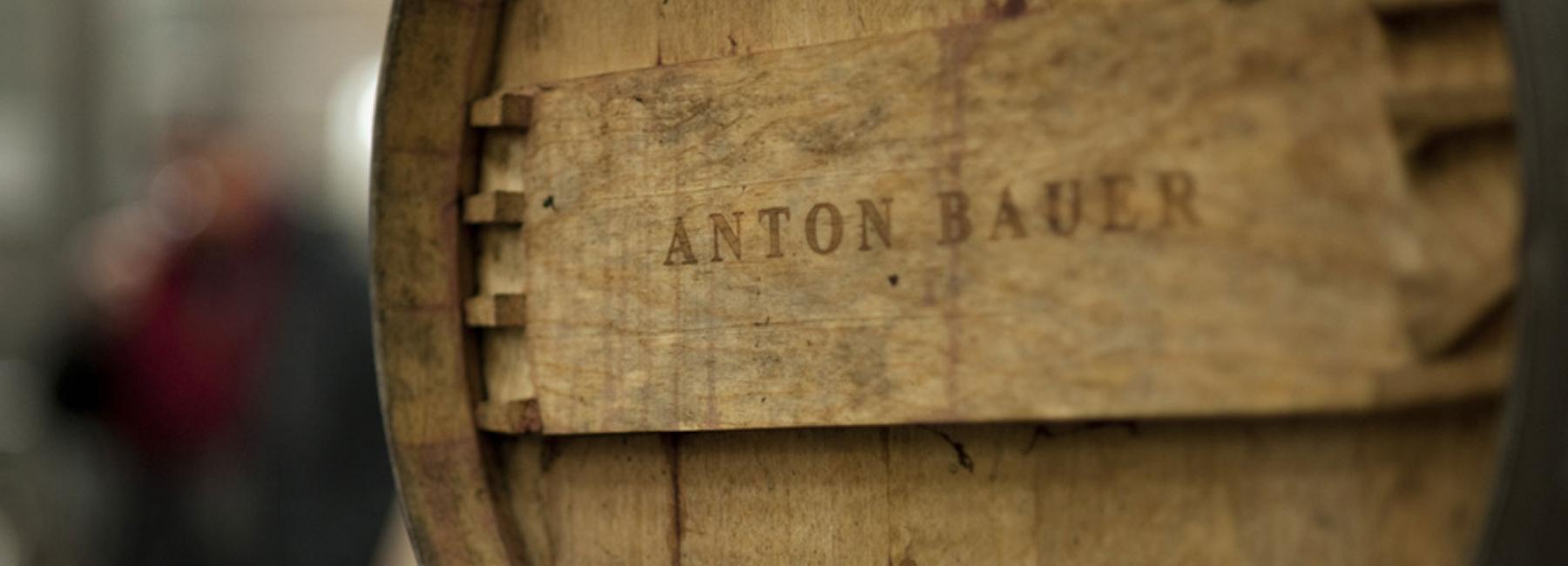 anton-bauer-das-buch__FillWzE4MDAsNjUwXQ