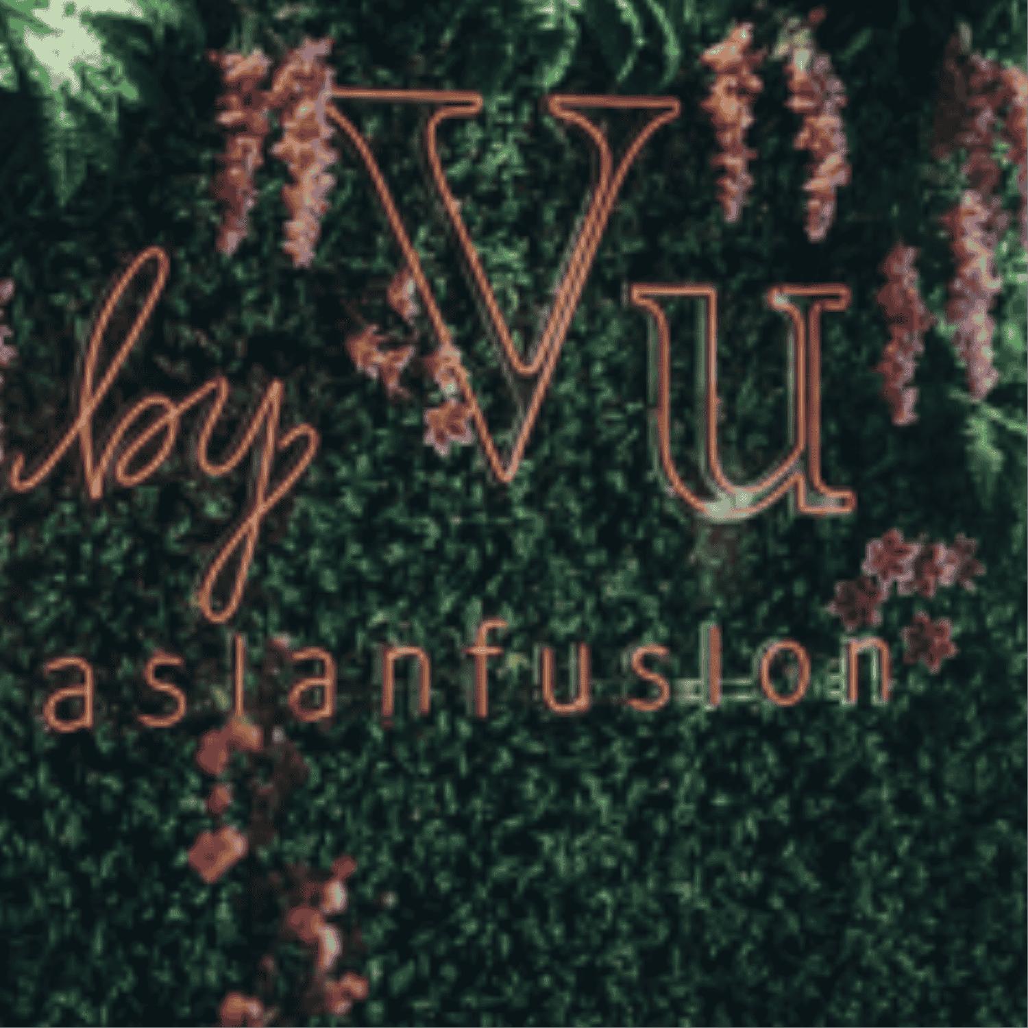 15_by Vu asianfusion