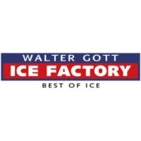 ICE FACTORY Walter Gott