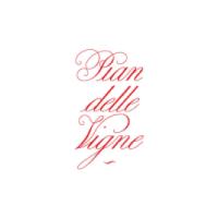 Pian delle Vigne