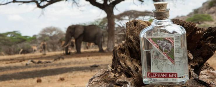 18089_Elephant-Hersteller-Banner