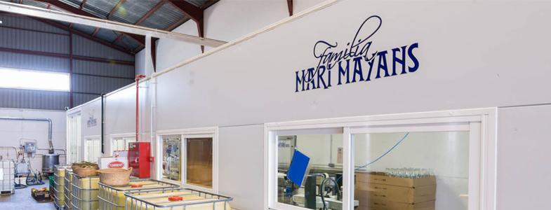 8867_banner_mari_mayans