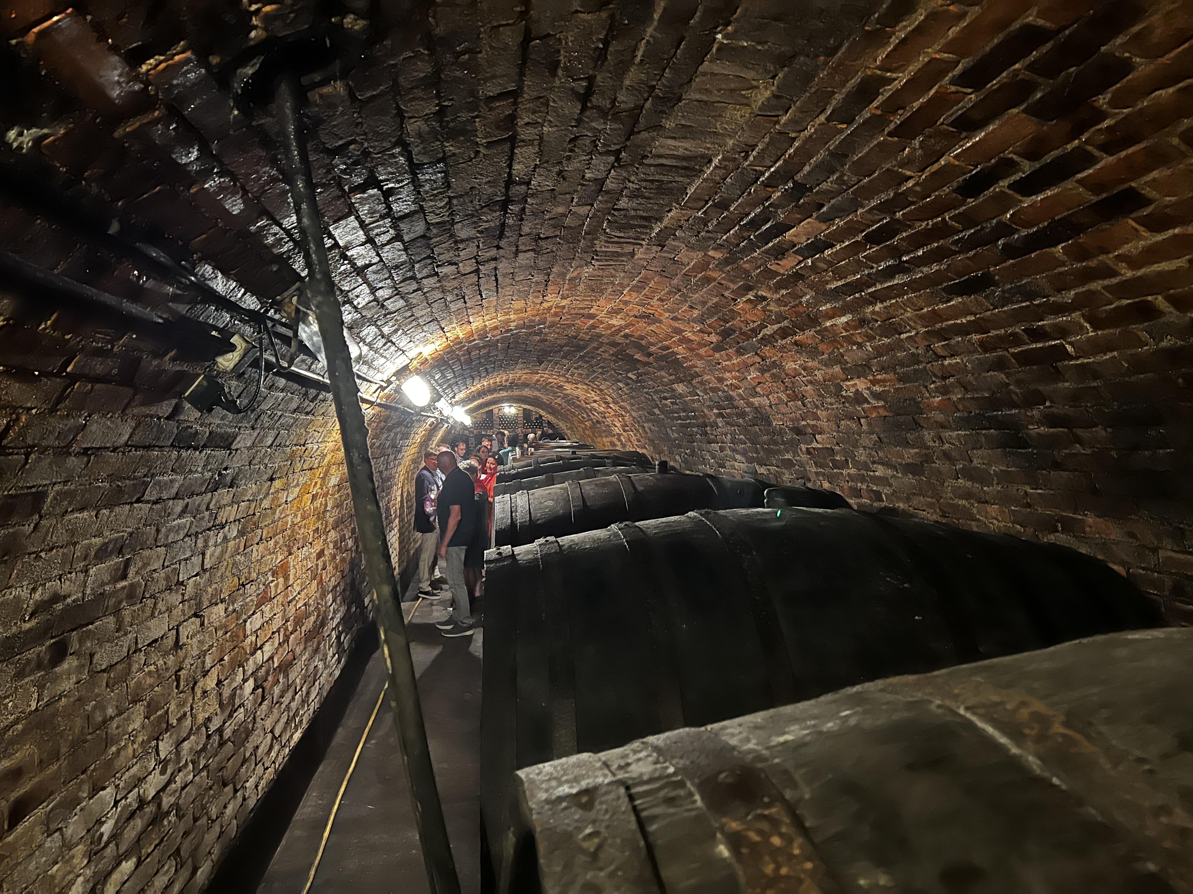 11891_C36F01A2-6C35-4CAB-9E7F-8B3B94387B1D