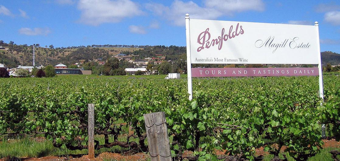 11114_02-08-2022-13-18-15