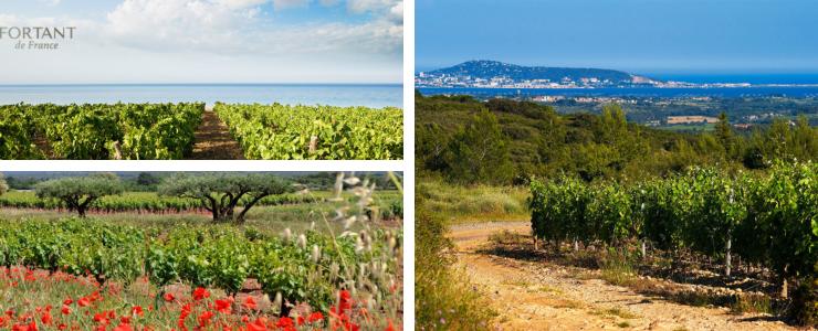 18262_Fortant-Hersteller-Banner