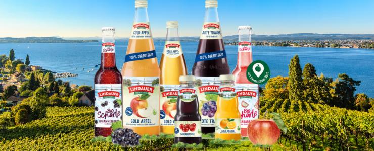 16757_Lindauer-Hersteller-Banner