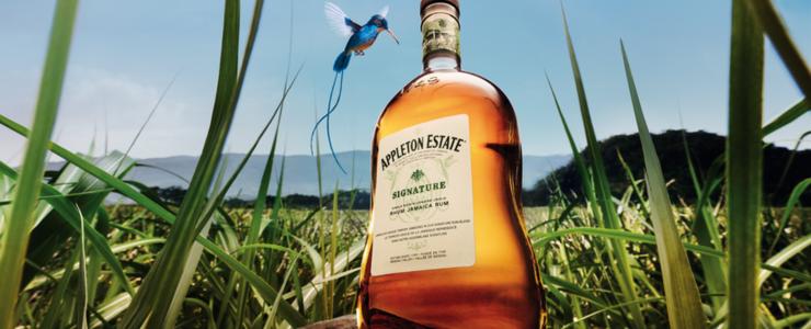 16789_Appleton-Hersteller-Banner