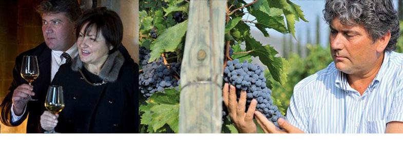 8961_banner_malavasi