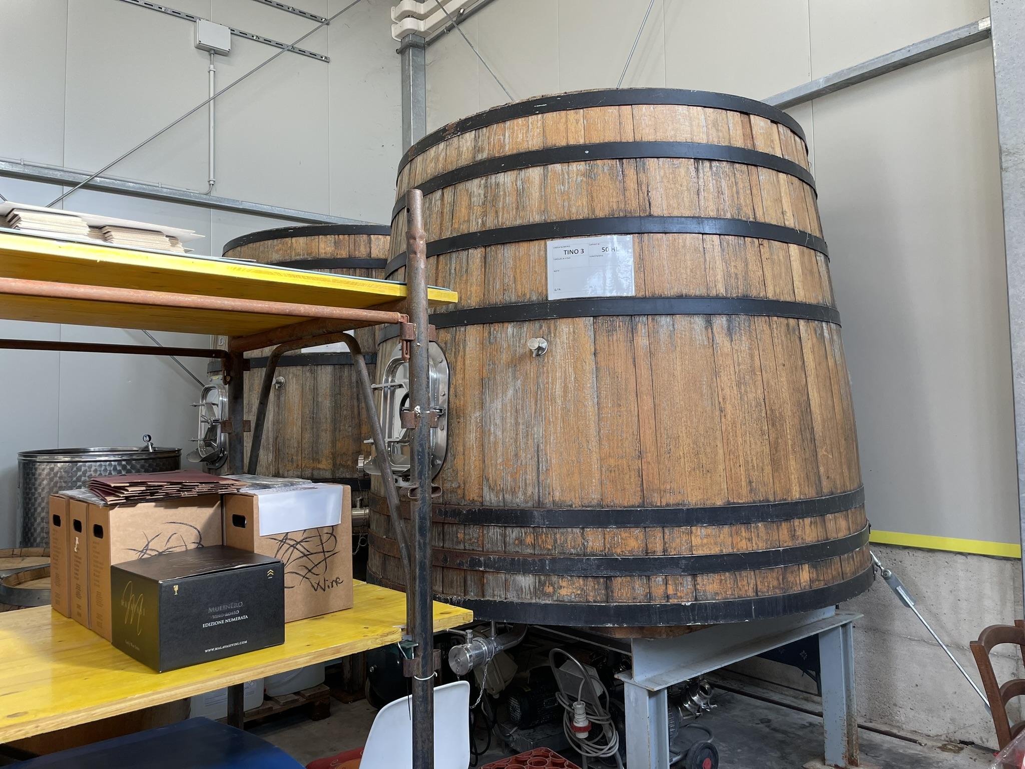 12513_F67446DA-3C50-4333-95B3-FC6FDC787E8C