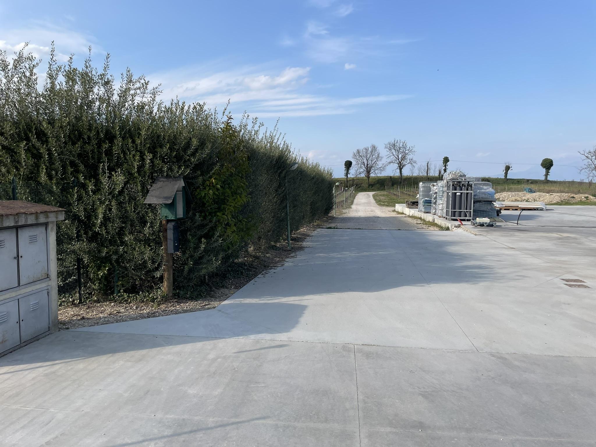 12516_B17E561D-101C-44DC-8645-A796727FF799