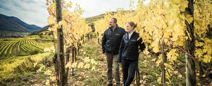 18066_Donabaum-Hersteller-Banner