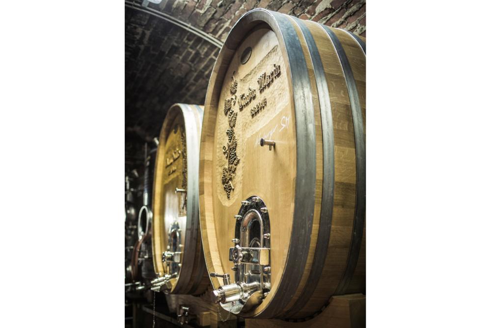 9253_Donabaum_fass_kopie.org