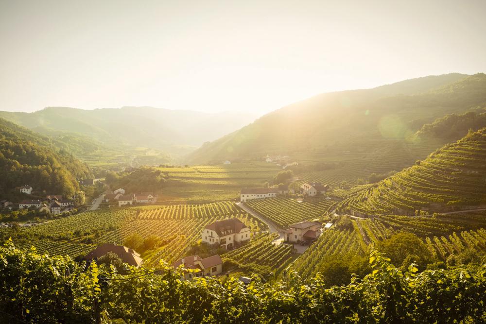 9255_Donabaum_Landschaft.org