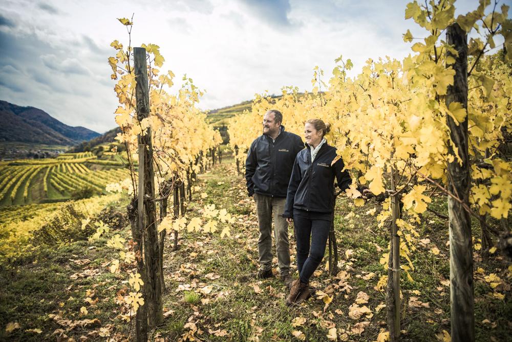 9256_Donabaum_Landschaft2.org