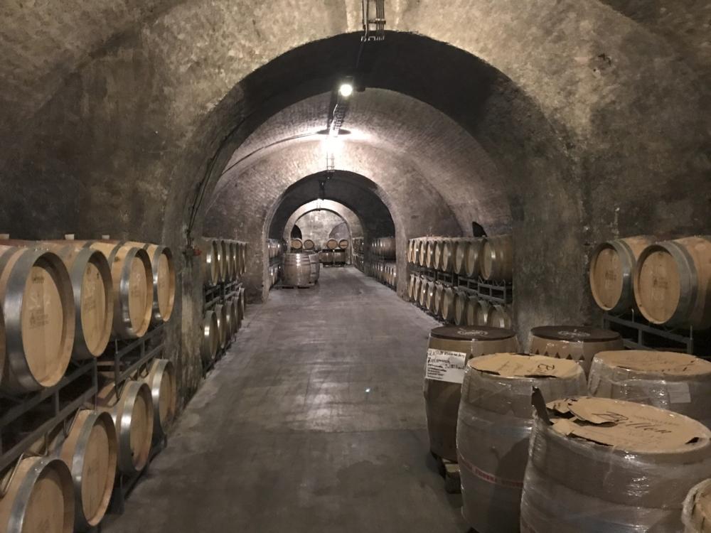 8797_259FADE9_965E_4F29_9FD8_AE455EB1EDE9.org.org