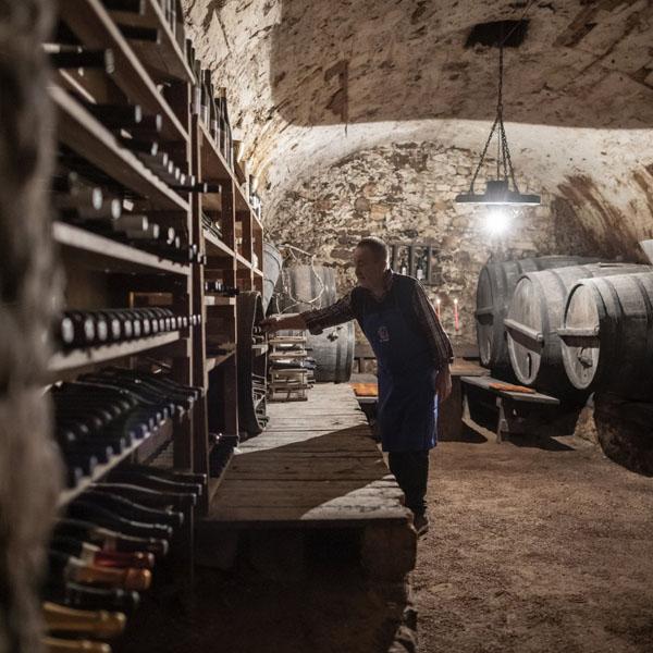 11207_600px-alexfilz-8946