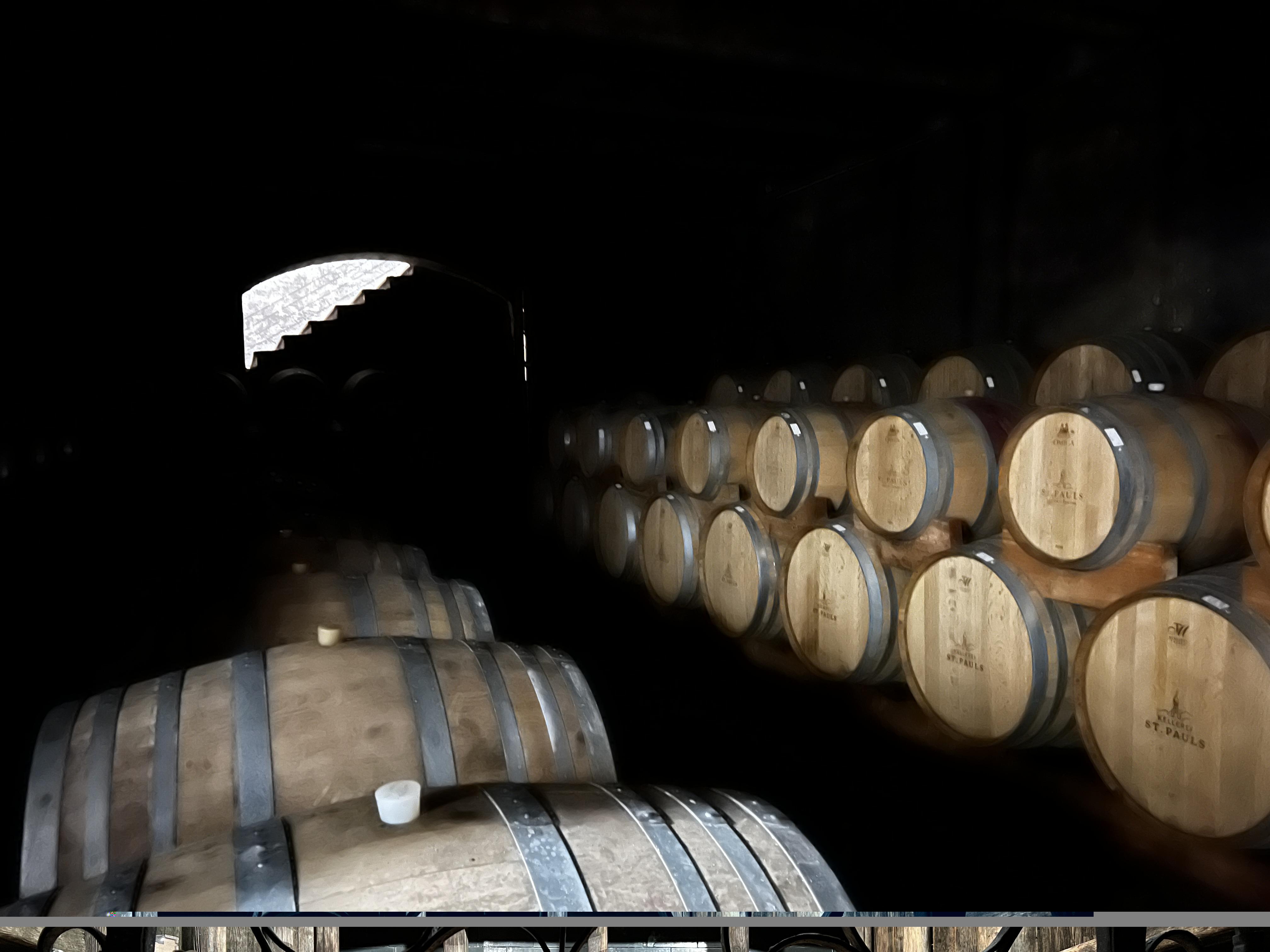 11641_5AE7A458-C9E4-446D-B8C1-98F84AD4576B