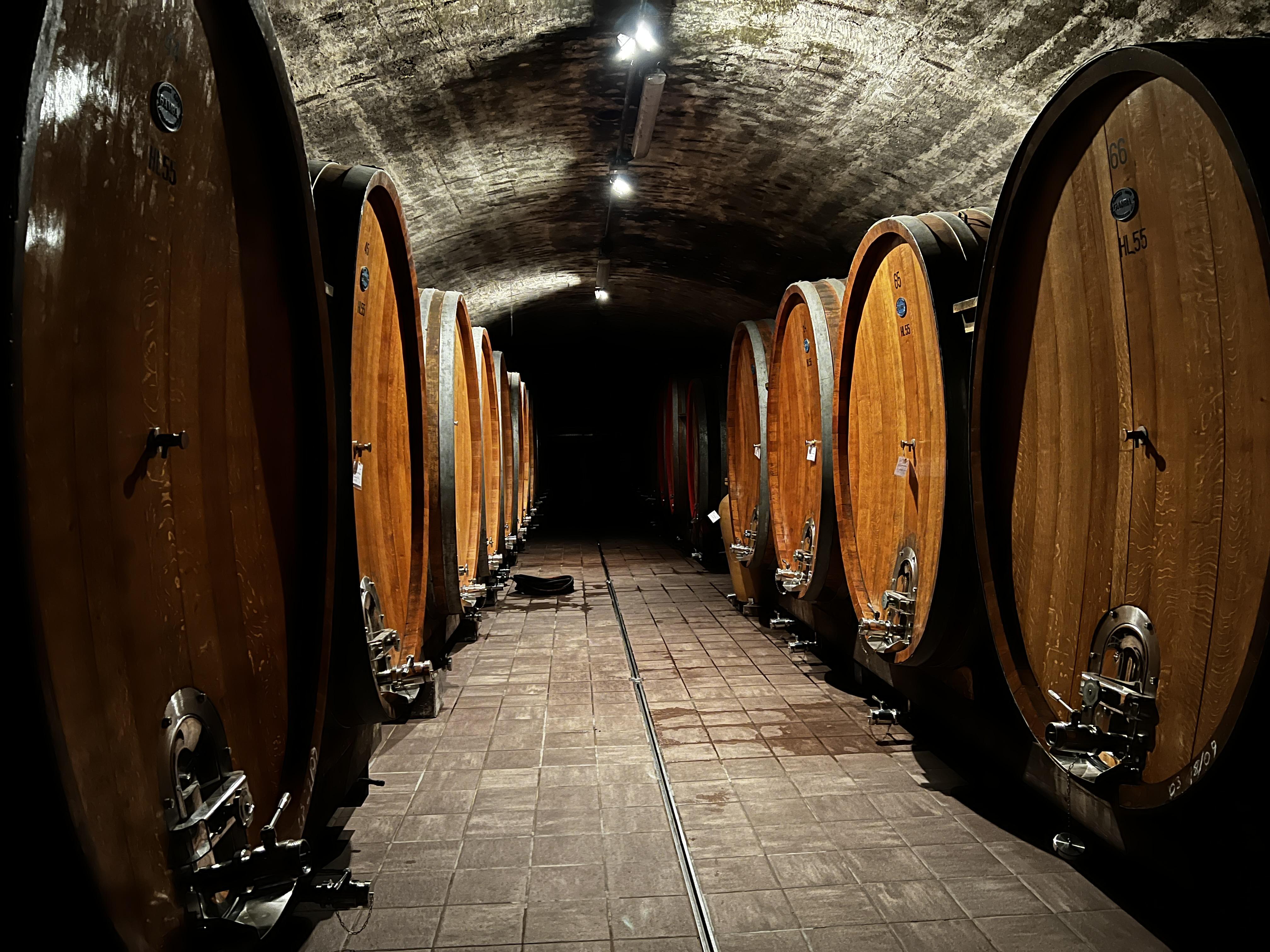 11642_5C0B426E-3E87-4EF7-AB9A-E6B0D825D822