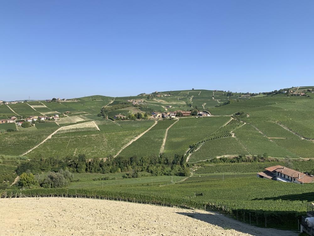 9112_F473257E_F4B2_49FB_98EB_DFC06FAA4F54.org