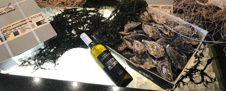 17451_Ohne-Worte-Hersteller-Banner