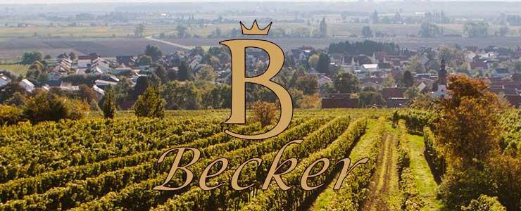 8936_weingutbecker