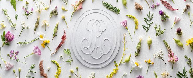 10188_Roederer-Banner