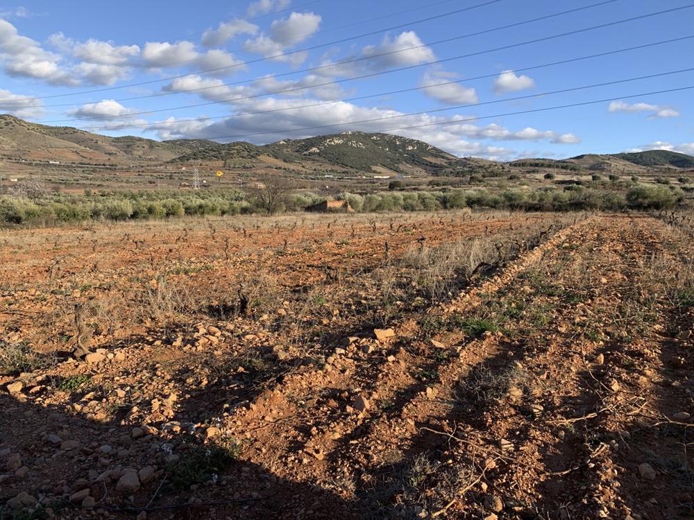 8841_MicrosoftTeams_image_4_.org