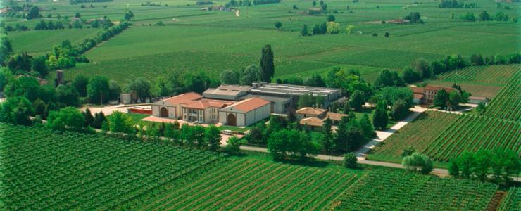 18202_Lecontesse-Hersteller-Banner