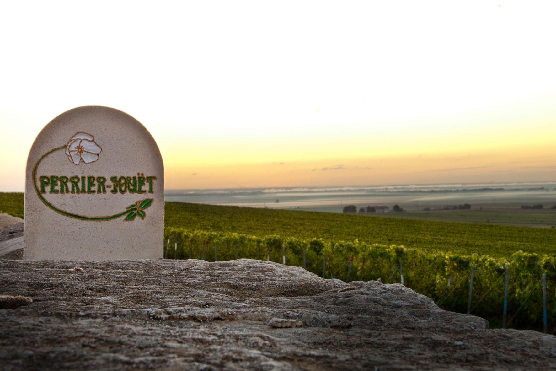 11493_champagne-perrier-jouet-grand-brut-mood-4-small