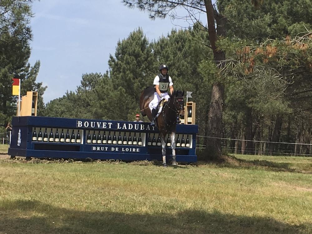 8831_Reitkunst_Stadt_Saumur.org