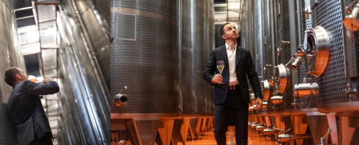 17794_Colesel-Hersteller-Banner