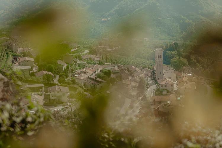 17691_Colesel-vigneti-gallery-1-69b04f6d-abeb-4dda-8e78-be6bf038e4a2-x500