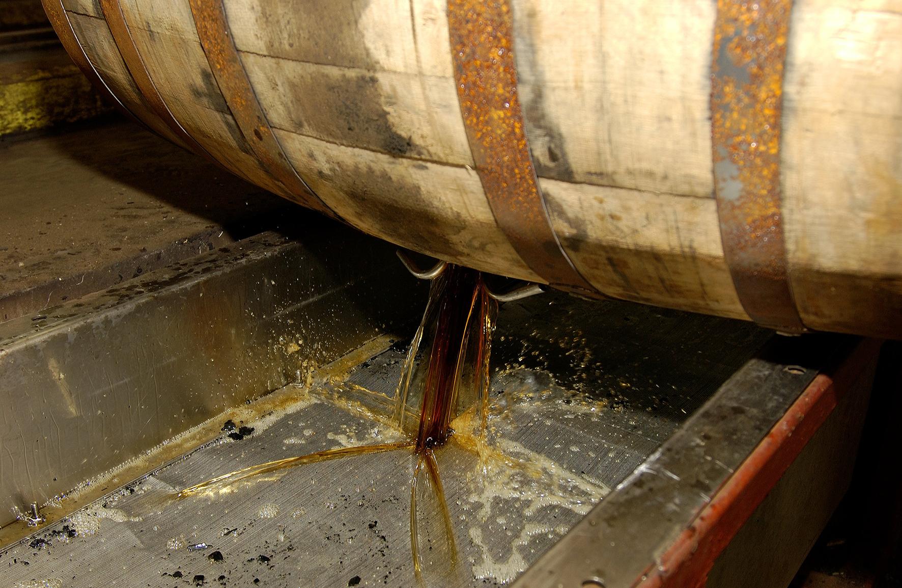 11585_four-roses-mood-53-small