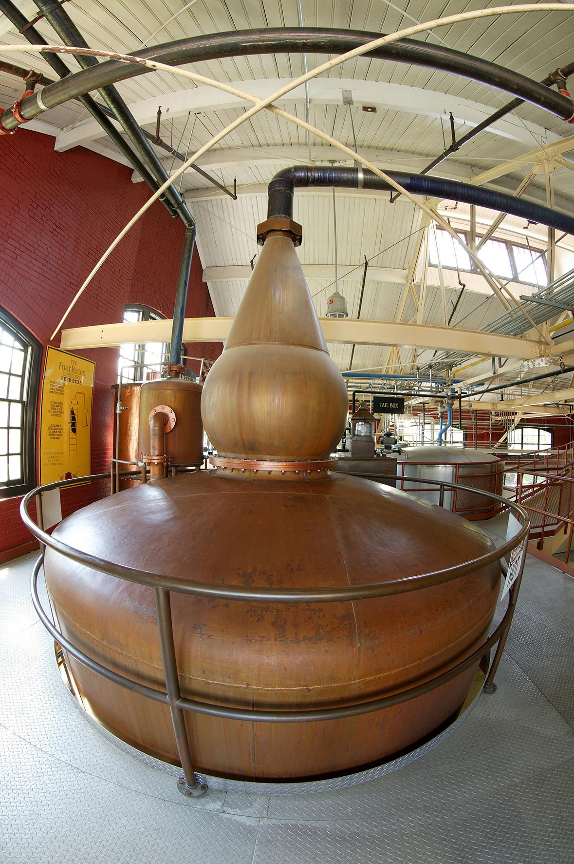 11589_four-roses-mood-16-small