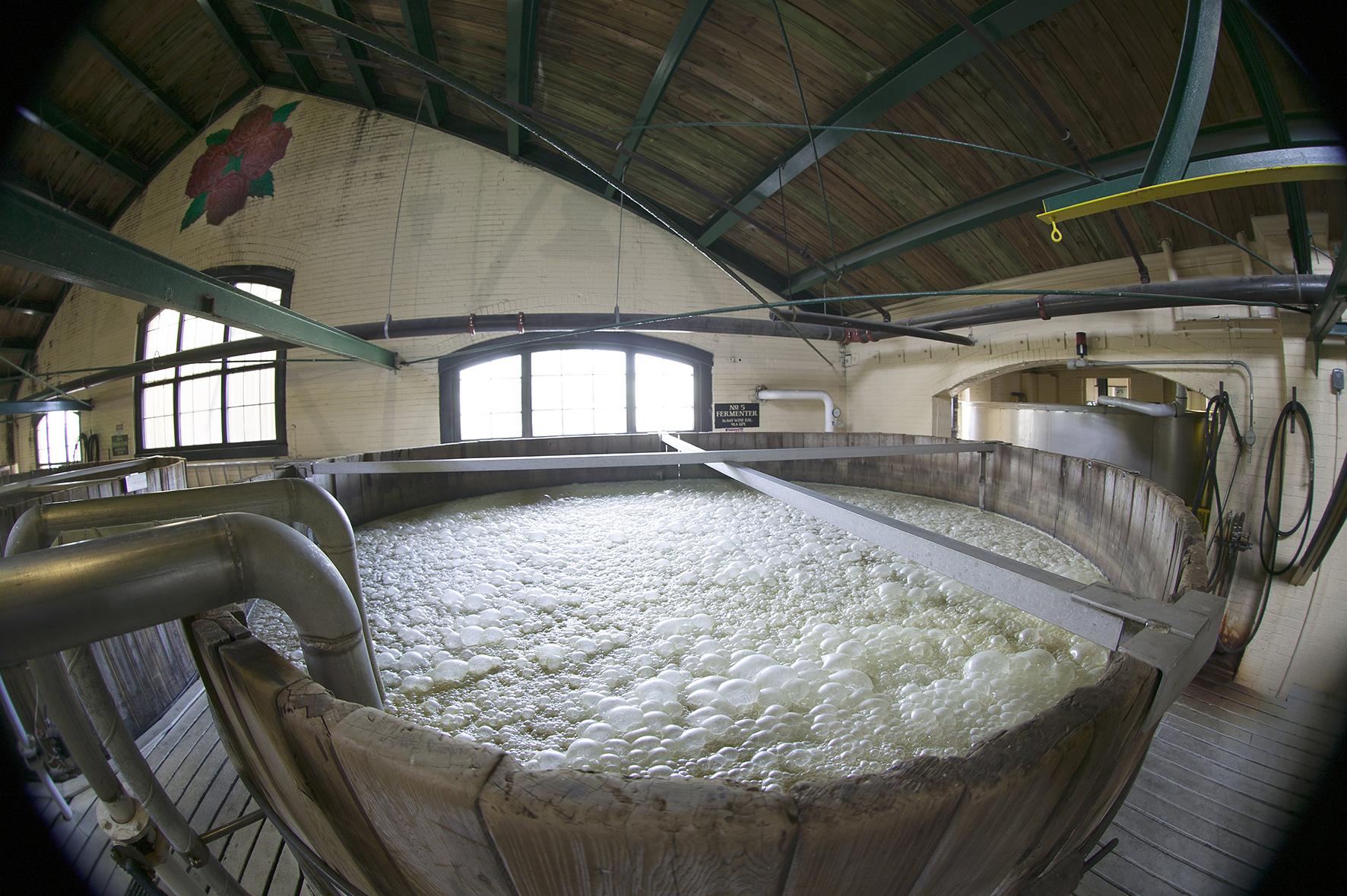 11592_four-roses-mood-12-small