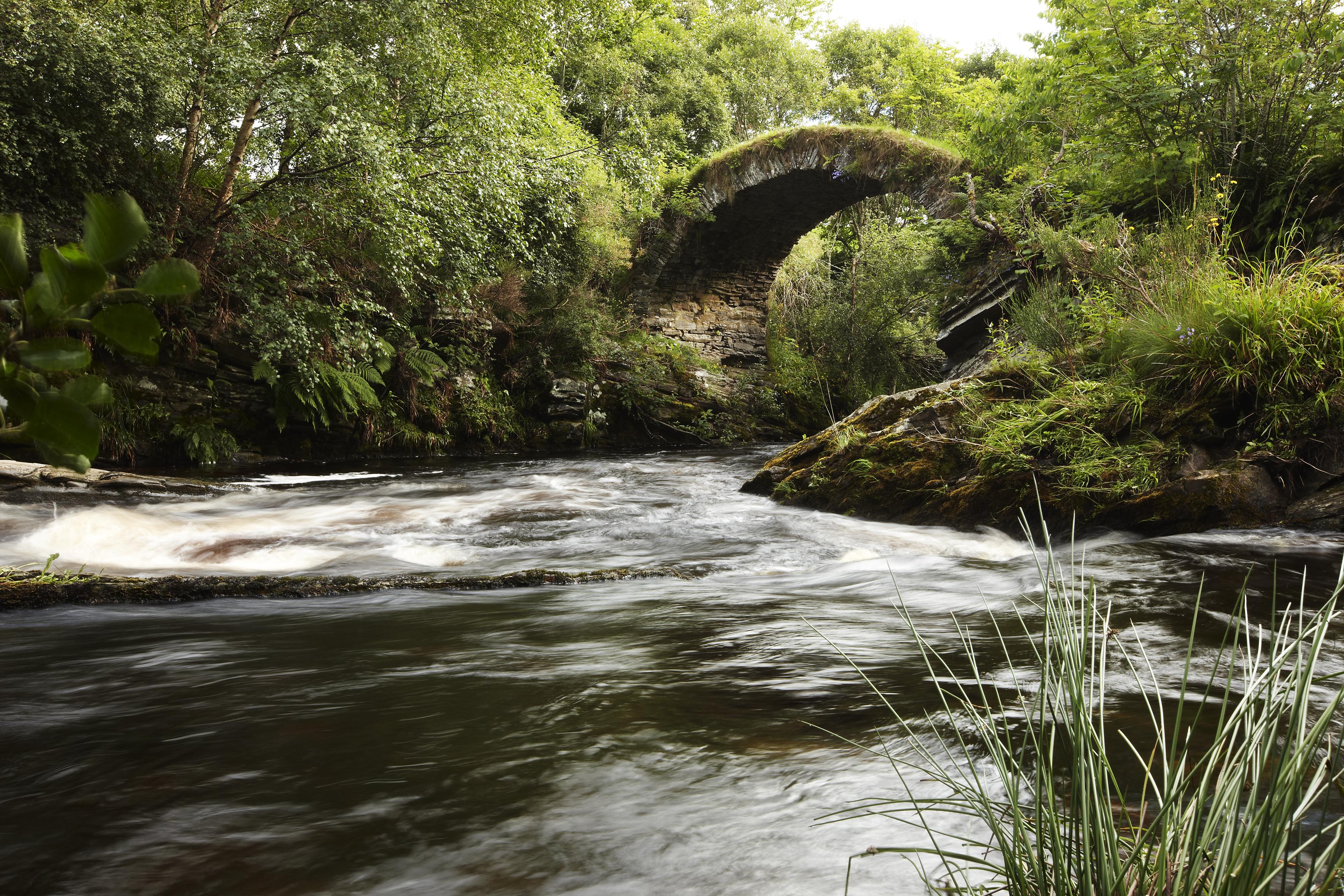 15107_heritage-5-medium