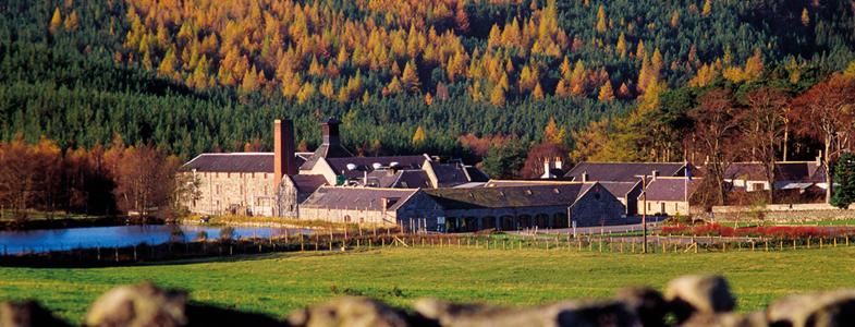 13896_banner-royal-lochnagar