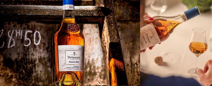 16947_Delamain-Hersteller-Banner