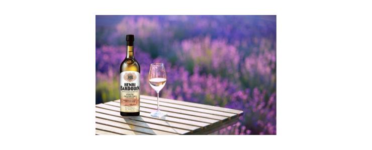 16974_Distilleries-et-Domaines-de-Provence-Hersteller-Banner