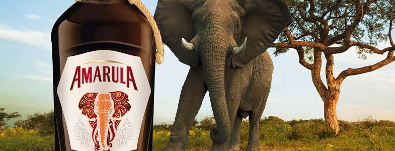 11536_banner-amarula