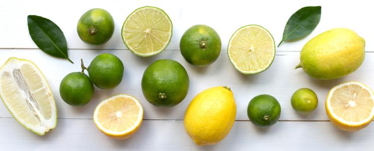 17455_Pulco-Hersteller-Banner