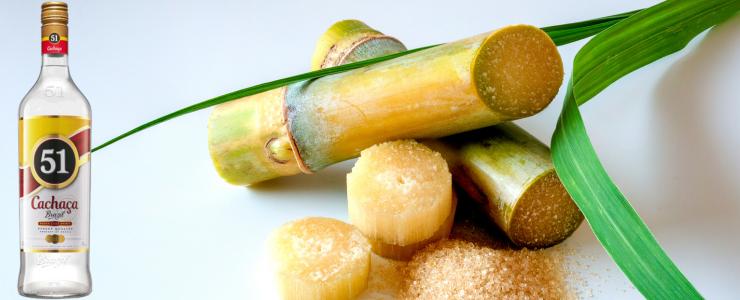 16884_Companhia-Mueller-Hersteller-Banner