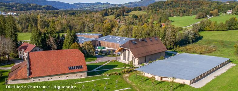 11632_banner-chartreuse