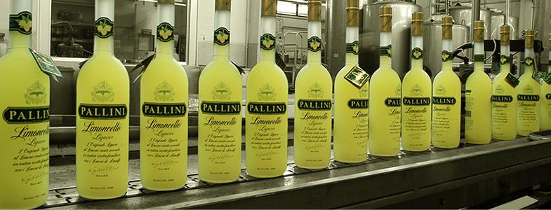 12325_banner-pallini