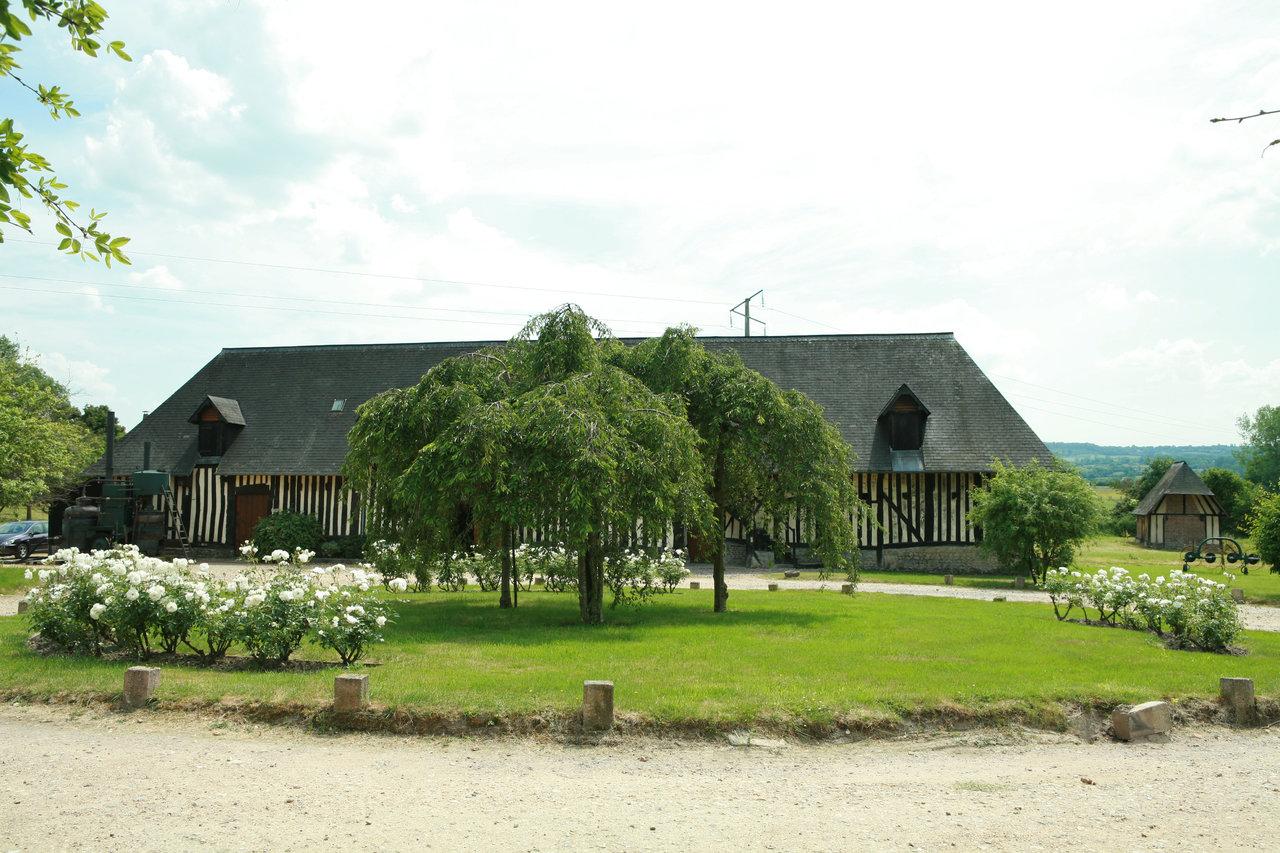 11461_image-moyen-0115