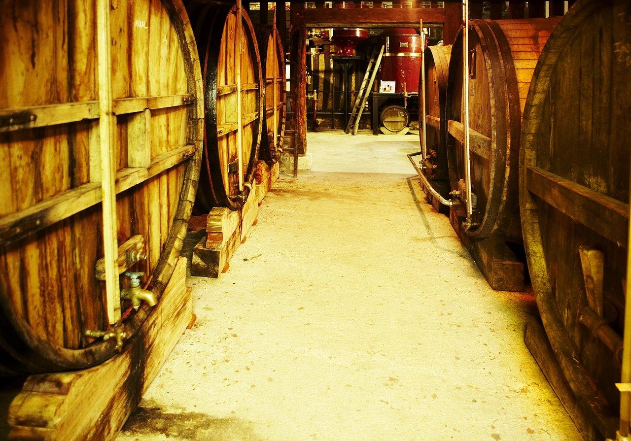 11463_image-moyen-mg-2063-petite