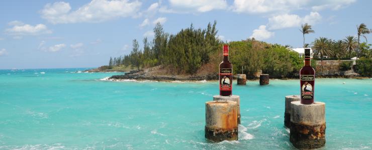 17033_Goslings-Hersteller-Banner