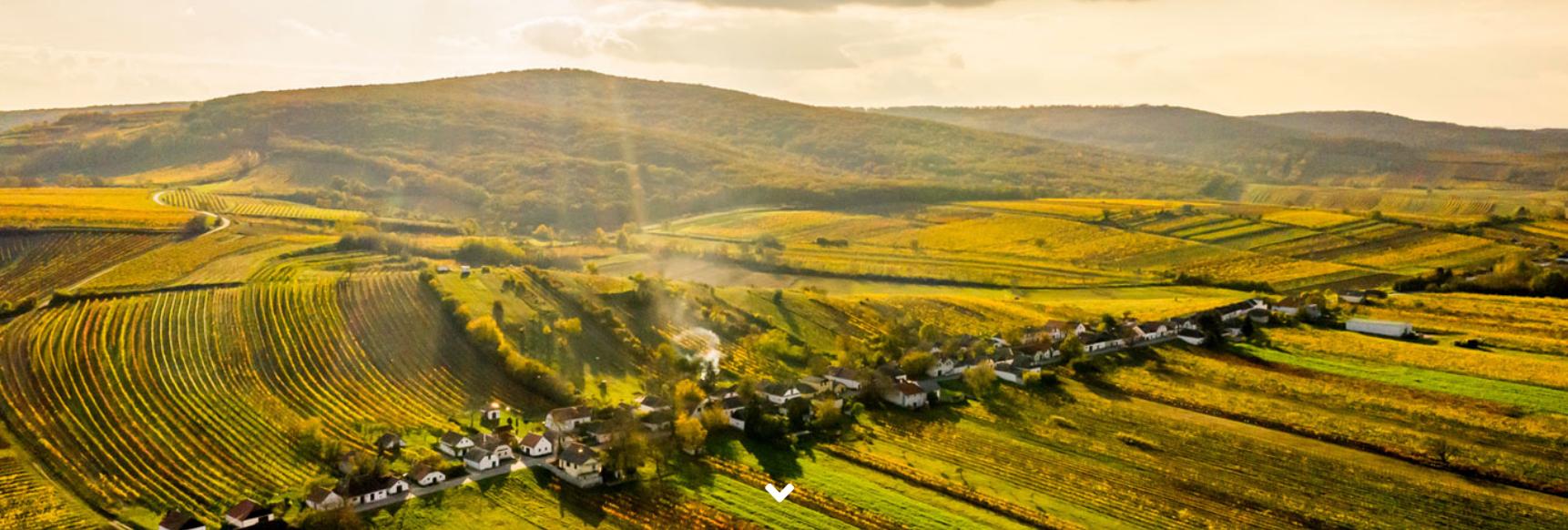 15783_clipboard-2024-03-08-15-40-23.image